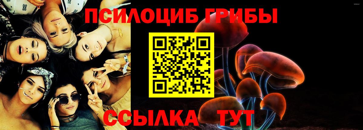 Псилоцибиновые грибы GOLDEN TEACHER Кирово-Чепецк